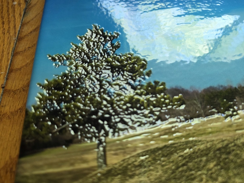 Detail - Tree Close-up